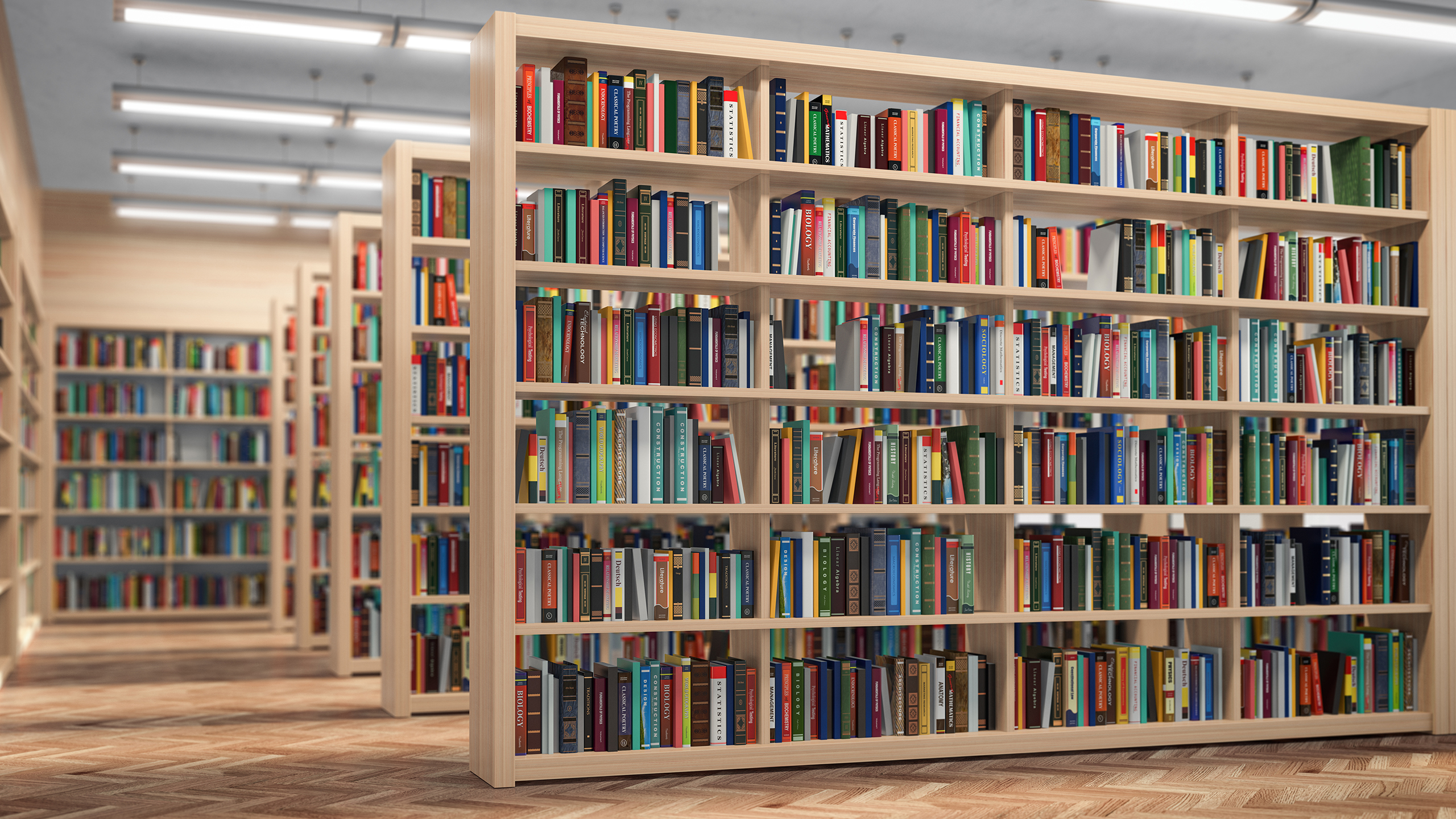 Ergonomics Publications &amp; Presentations